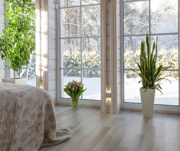 Cozy sunroom interior featuring large windows with a winter view, a bed with a textured blanket, potted plants including a snake plant and a bouquet of tulips, emphasizing a tranquil retreat for relaxation and guest accommodations.
