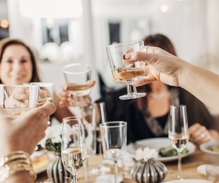 Group of friends toasting with drinks at a table, celebrating in a sunroom setting, enhancing home entertainment experience.